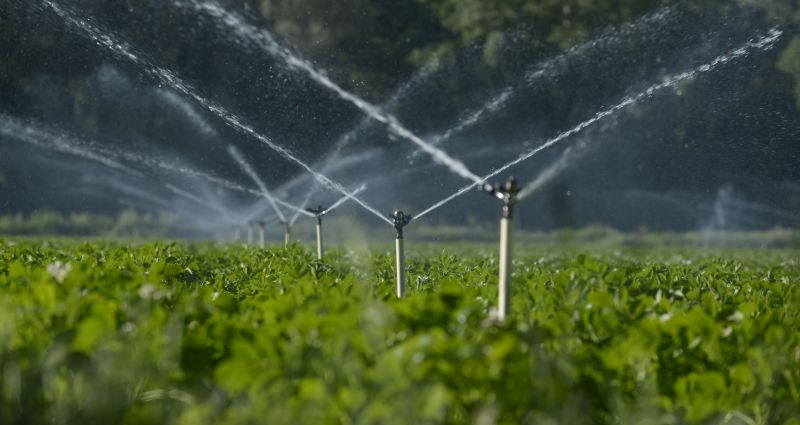 Mist Irrigation Installation in Aiken, SC