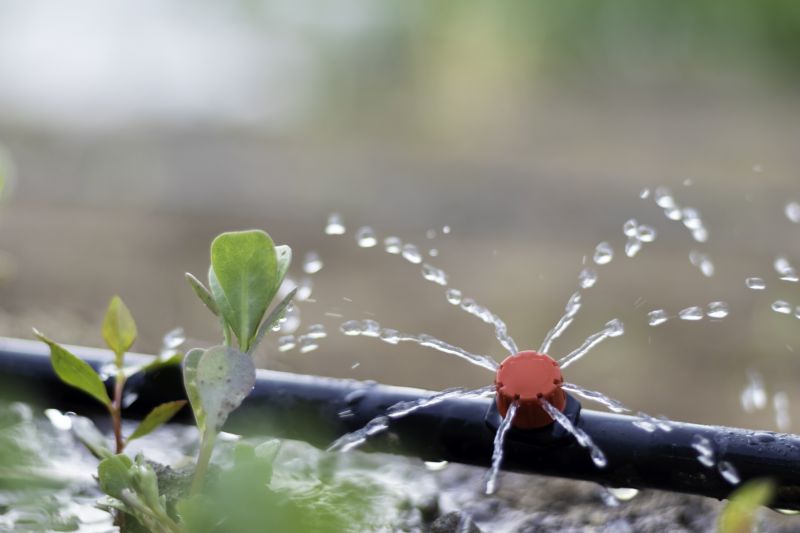 Yard Irrigation Installation in Honolulu, HI