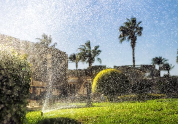 Sprinkler Installation